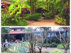 -新加坡飞禽公园