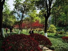 -重庆彩云湖湿地公园