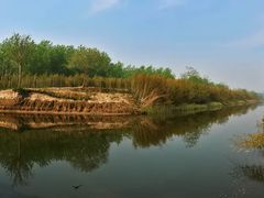 -黄海国家森林公园