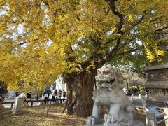 -北京石刻艺术博物馆(五塔寺)