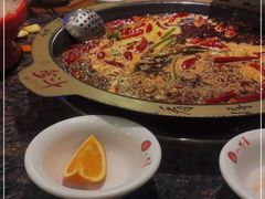 -一斗火锅·招财羊毛肚(上河城店)