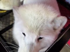 -长白山万达锦华套房酒店