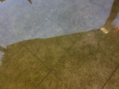 -咸宁万豪温泉谷度假区