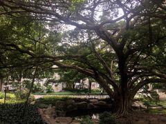 -晓港公园