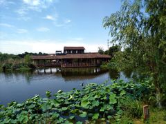 -白鹭湾湿地公园