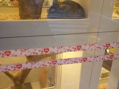 -龙猫仔乐园(惠福东路店)