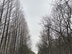 -南汇嘴观海公园