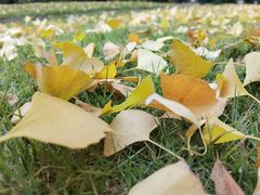 -苏州河梦清园环保主题公园