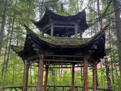 -峡谷浮石林景区