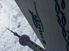 -上海海洋水族馆