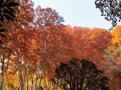 -河南省黄河迎宾馆