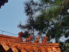 -沈阳市东陵公园