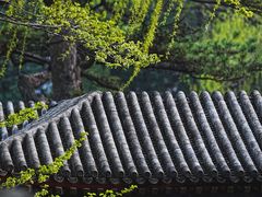 -颐和园
