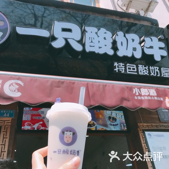 一只酸奶牛图片-北京甜品饮品-大众点评网