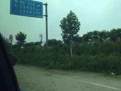 奥帕拉拉水公园-奥帕拉拉水公园