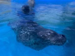 -多彩贵州城极地海洋世界