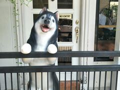 -TrueLove @ Neverland (Husky Cafe)