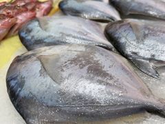 -明州小宴(文化广场店)