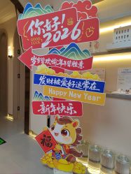 -帝迈造型