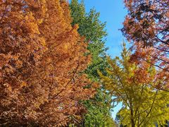 -国家植物园南园