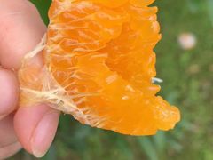 -上海龙吴水胜海发市场