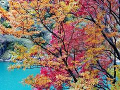 -叠溪松坪沟景区