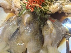 -海盗餐厅