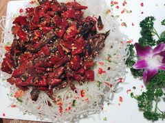 柴炉风暴鸭头-守柴炉北京烤鸭(丰都东麓店)