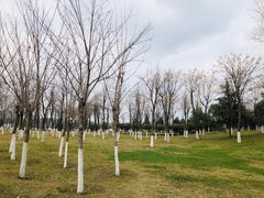-洨河生态公园