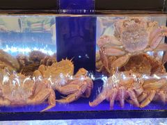 -蟹道乐(道顿堀本店)