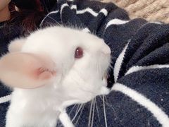 -藦茜花园宠物主题亲子互动体验馆(国顺东路店)