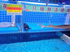 -渔夫蒸鲜(世奥湾店)