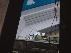 -nodcafe(M50创意园店)