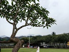 -紫马岭公园