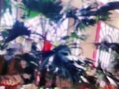 -郑州银基黄帝宫御温泉