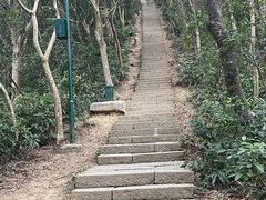 -梧桐山风景名胜区