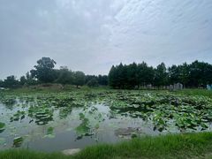 -滆湖低碳生态公园