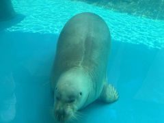 -海合安成都极地海洋公园