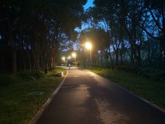 -昆山城市生态森林公园