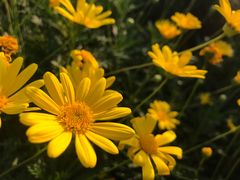 -昆山城市生态森林公园