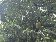 -孔雀湖生态旅游区