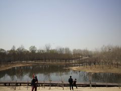 -东郊湿地公园