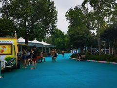 -苏州乐园森林水世界