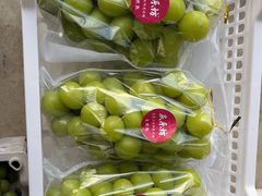 -马陆小张葡萄园农家乐