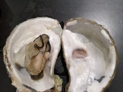 汽锅生蚝-赤甲皇(仙霞路店)