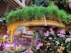-正佳雨林生态植物园