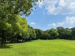-吴淞炮台湾湿地森林公园烧烤区