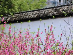 -乌山风景区
