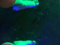 -宝丽金大酒店·洗浴中心