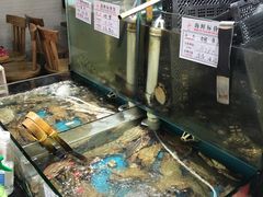 水产区-九层海鲜塔(市南店)
